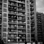 bongiovanni5