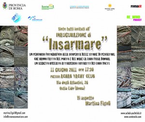 INSARMARE